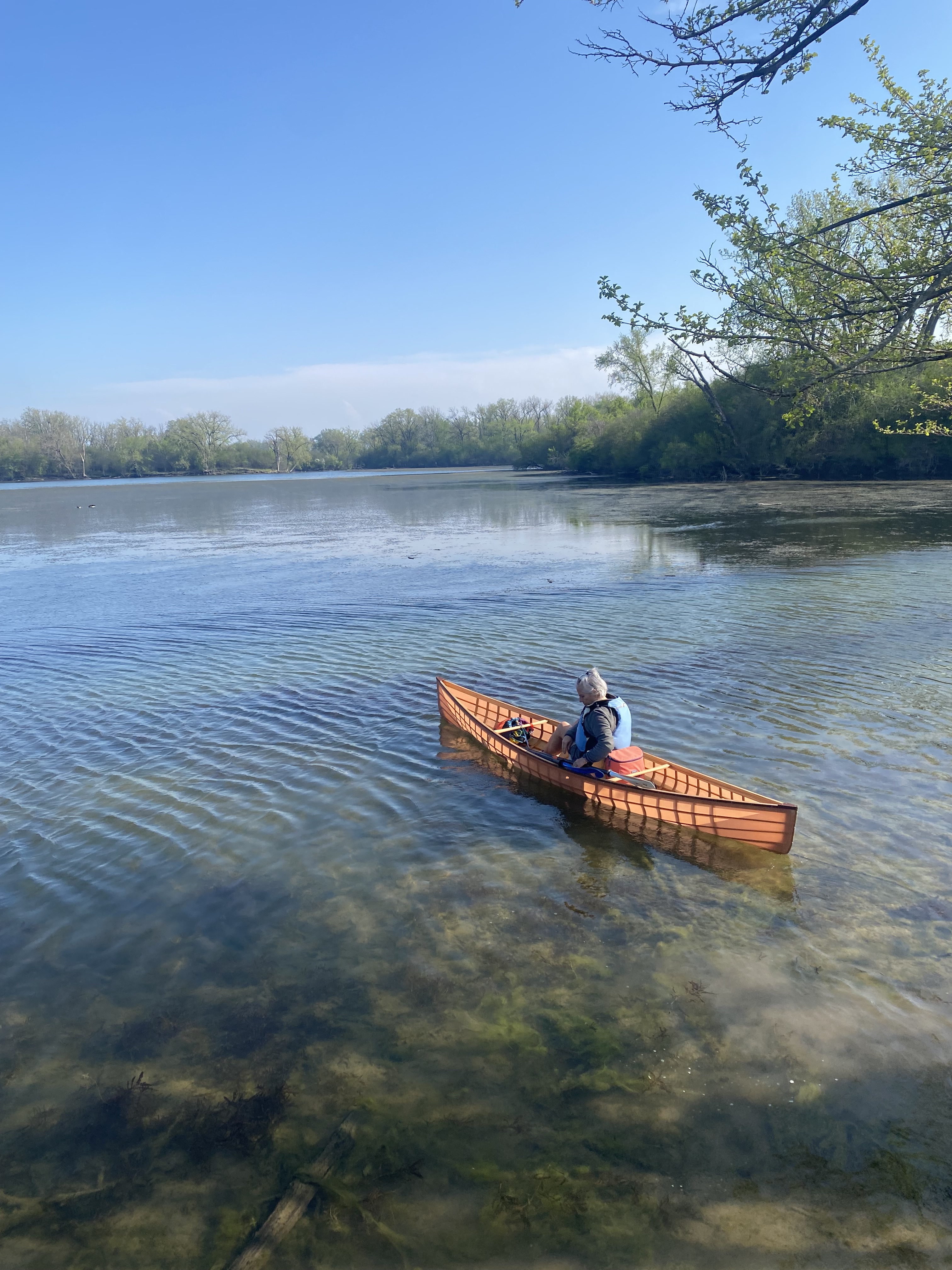 Image of a brown skin-on-frame boat in lake.