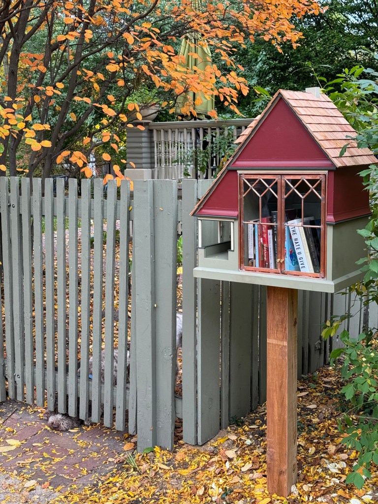 Image of and Evanston Illinois little free library.